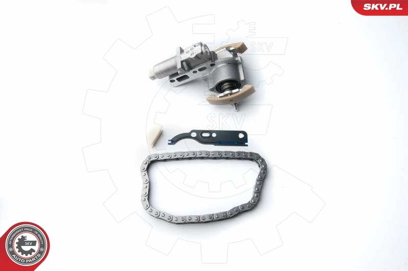 Timing Chain Kit